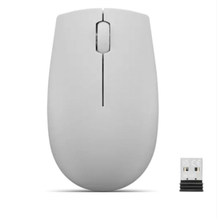 Mouse optic Lenovo 300 USB Wireless Arctic Grey