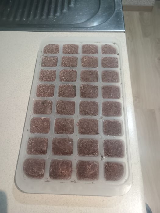 Замразен тубифекс