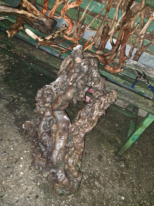 O piesa extrem de unica si frumoasa pentru acvariu sau bazin 80l-45