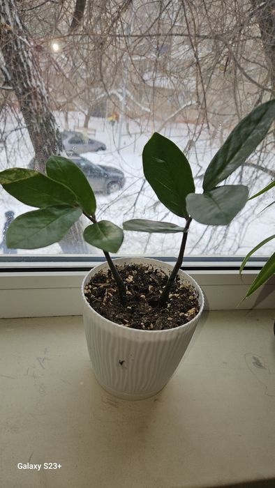 Скидка от 1500тг продам