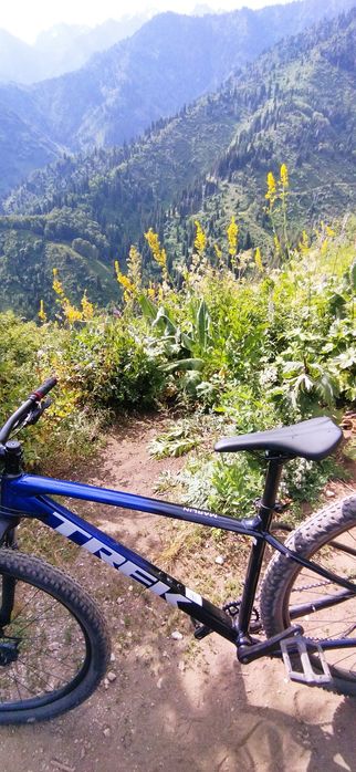 TREK marlin 6 2023