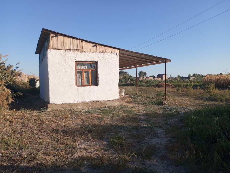 Дача Сатылады. Жузим баг