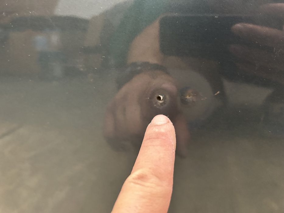 Usa bmw G21 seria 3 break 2019-2022 dreapta spate