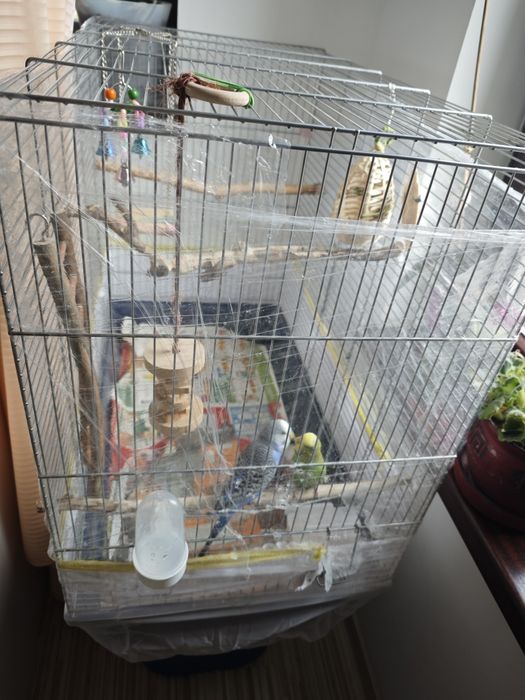 Colivie pentru papagali, peruși, nimfe etc