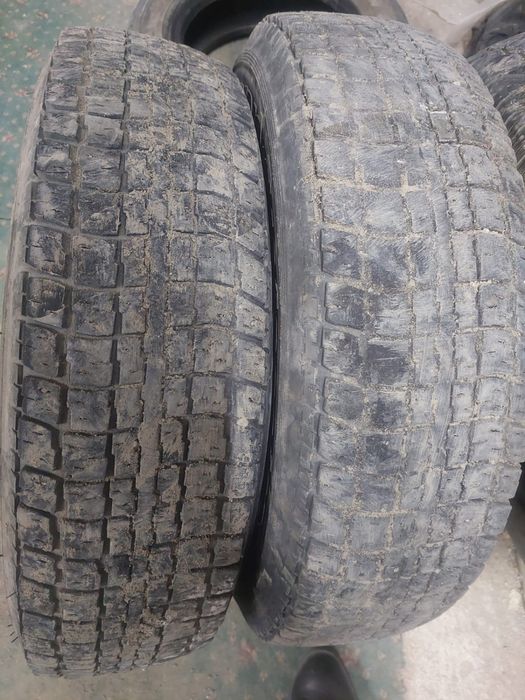 балоныы летние газель