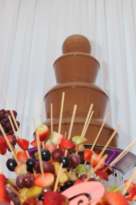 Fantana de ciocolata si bar fucte