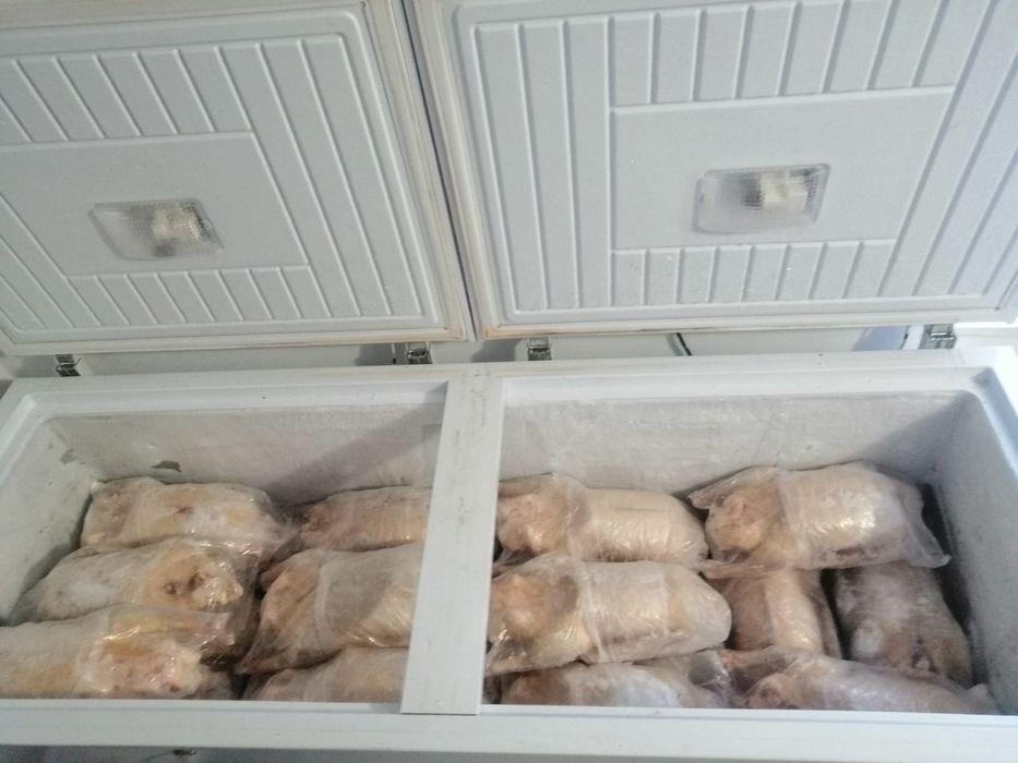 Продам гусей , гусь домашний