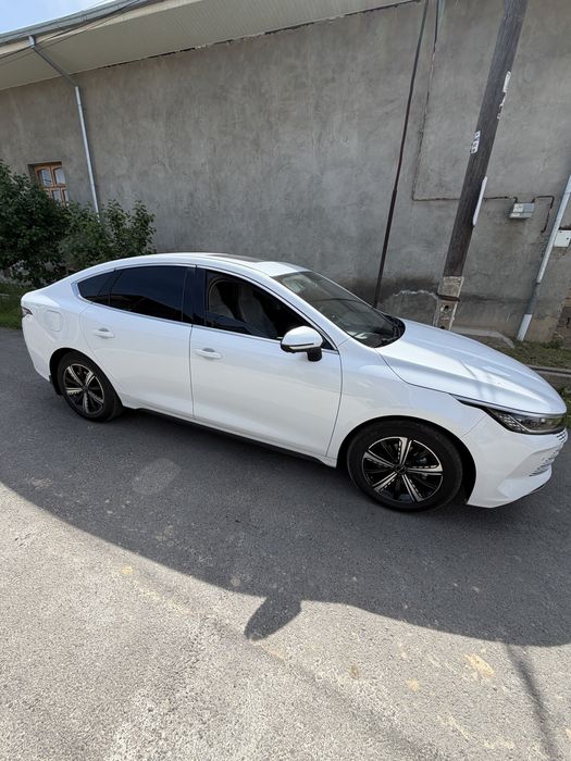 BYD Chazor 2024 — 4