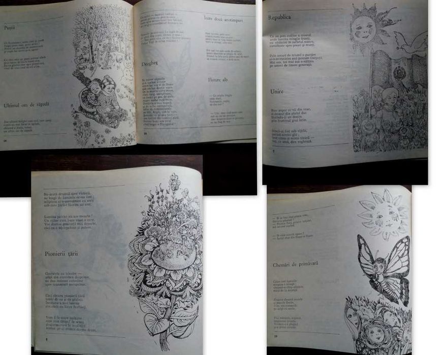 Carte poezii epoca comunista-ʺ Talcul culorilorʺ, Radu Felecan-NOUA