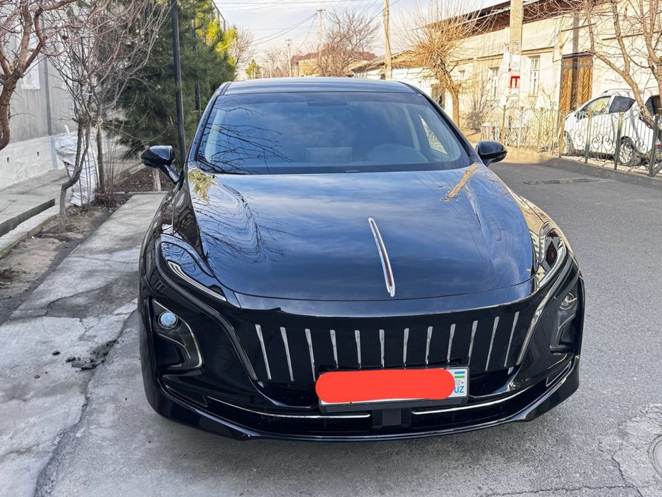 Hongqi eqm5 500 tali