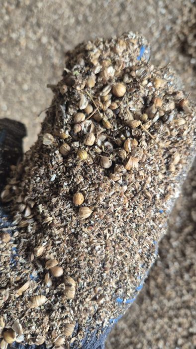 Продам отходы льна