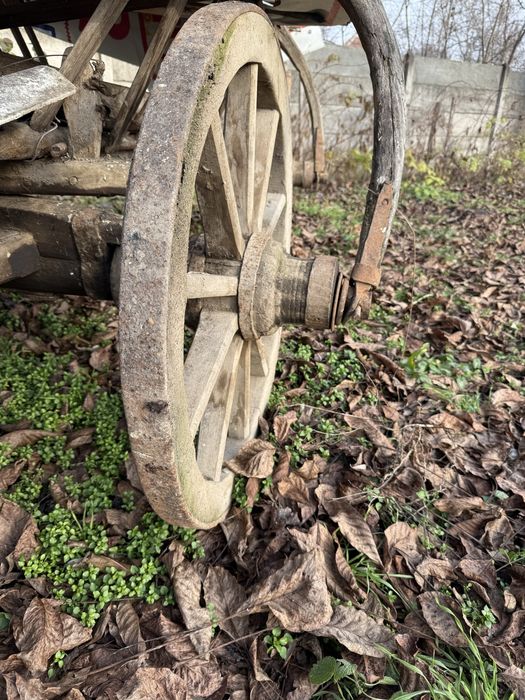 Car / caruță din lemn