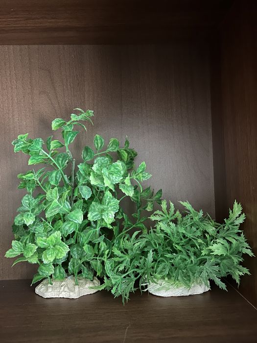 Акваруим 20л с рыбками