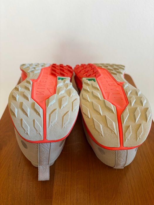 Nike Pegasus Trail Gore-Tex