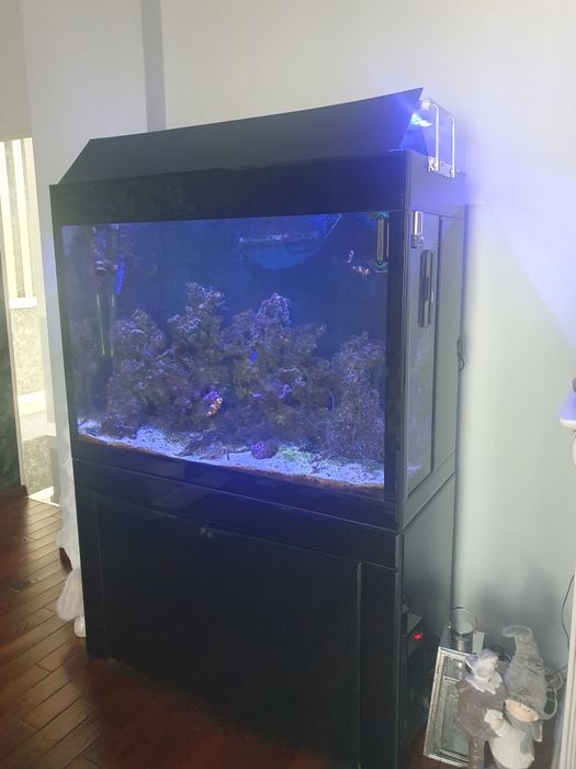 Ocazie! Acvariu marin complet echipat