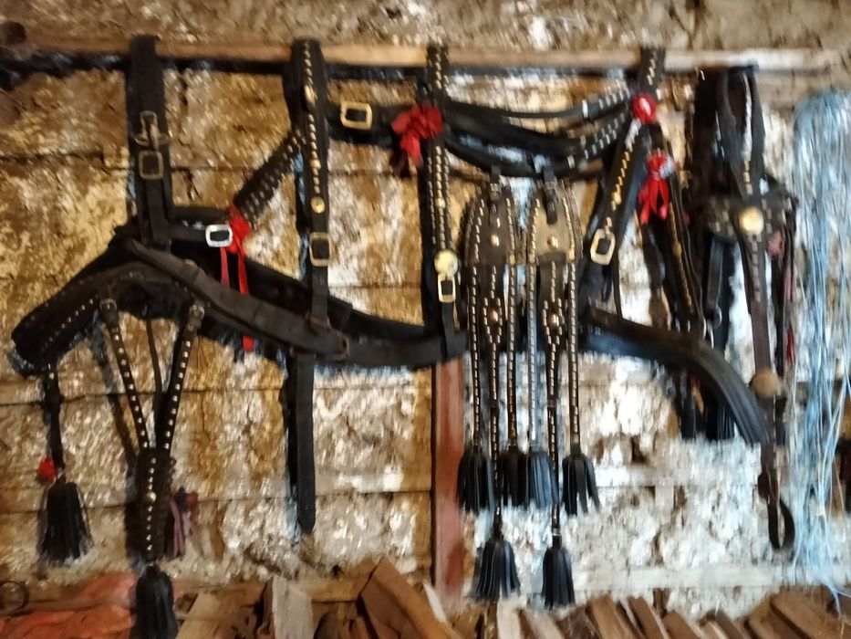 Dumitru Bogdan Stefan