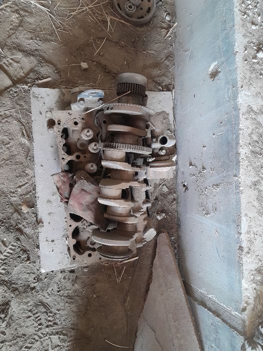 Ttz 100 els matori sotiladi