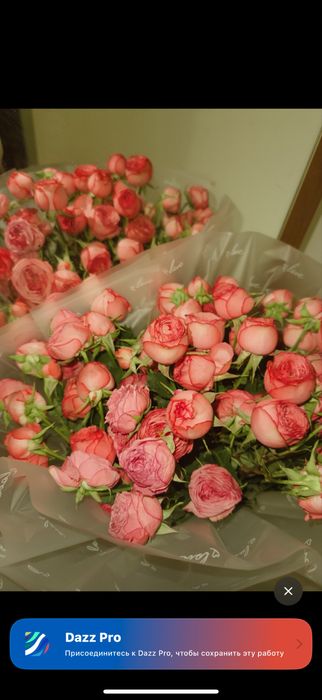 Свежий буткетттттт