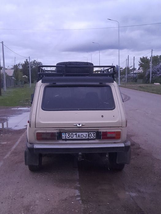 Нива  жагдайы жаксы