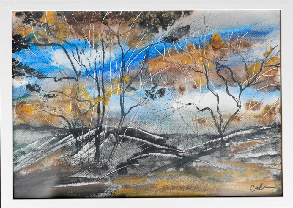 Cadouri picturi acuarela