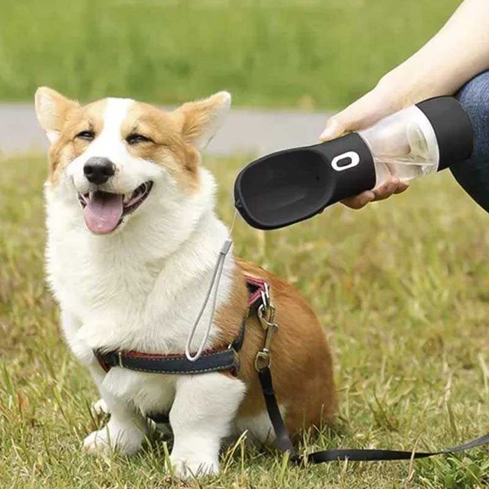 Бутилка/поилка с купичка за куче и котка 3 в 1 – вода, храна и купичка