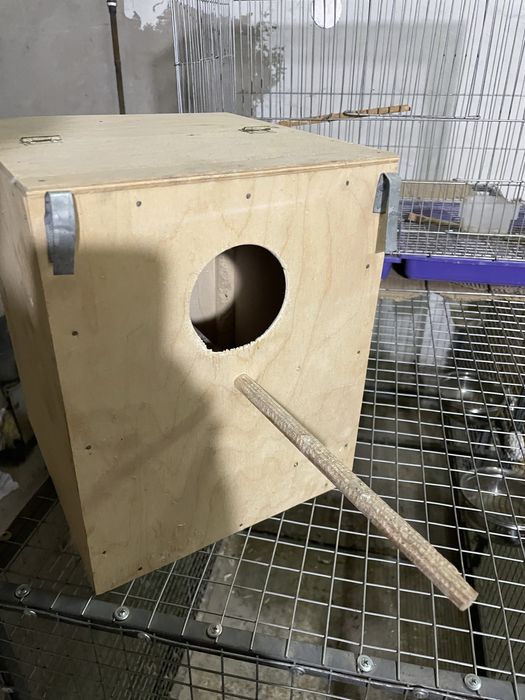 Dublyanka narxi arzon narxlada