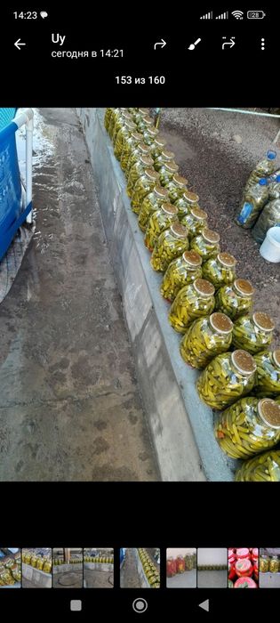 Bodring 40000 uyda tayyorlangan