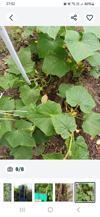 Продаю телевизор для Опель астра и дачу