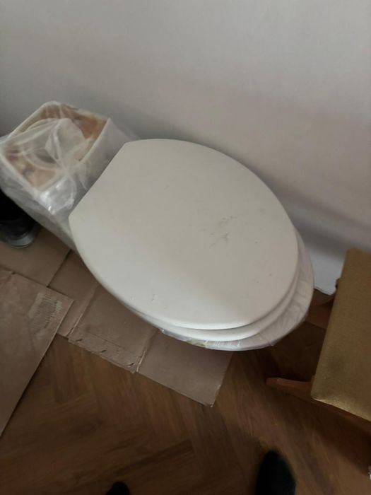 Рабочий туалет , два козла