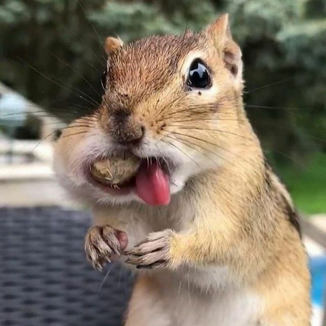 Натяжные потолки По доступным ценам