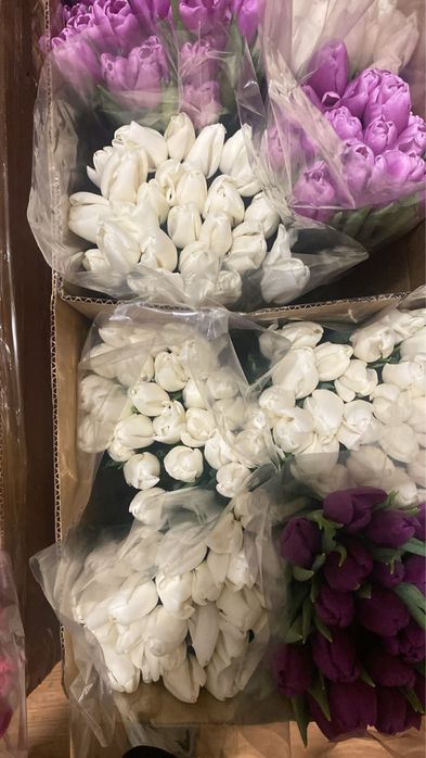 Тюльпаны с офомлением Астана