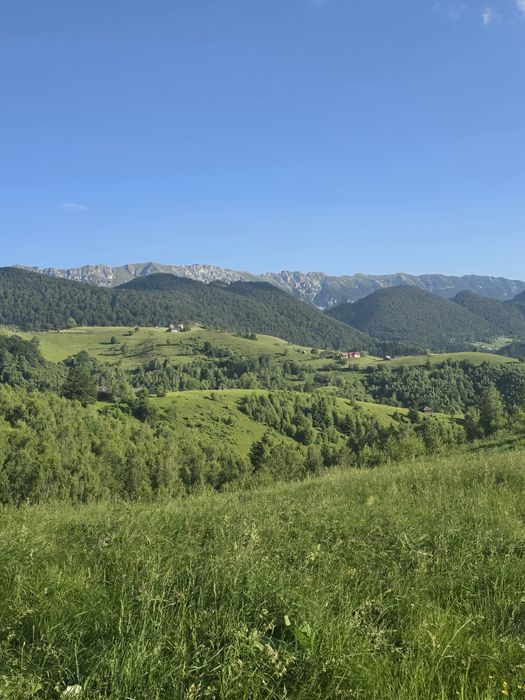 Teren linistit 4 hectare,  Șirnea,  Fundata cu râu pe 2 laterale