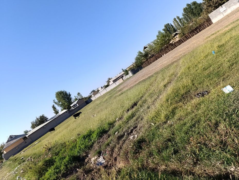 Yer Sotiladi 16sotiq