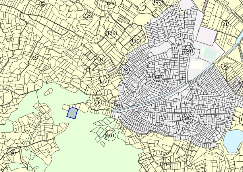 Дървопроизводителна гора 5.7дка. над кв.Долни Воден общ.Асеновград