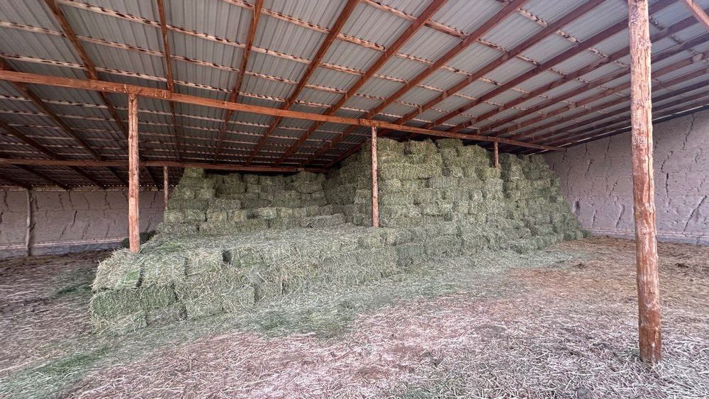 Беда прес ëввойи ут аралаш