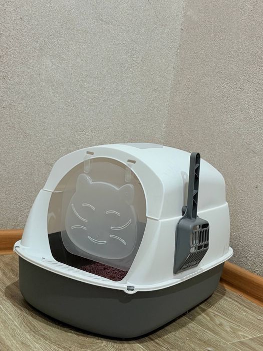 Отдам котенка в добрые руки