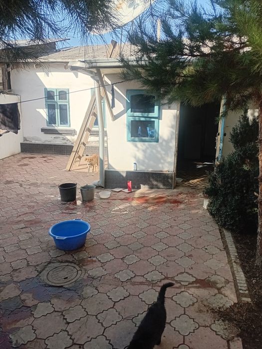 Продаётся дом в Янгиюле