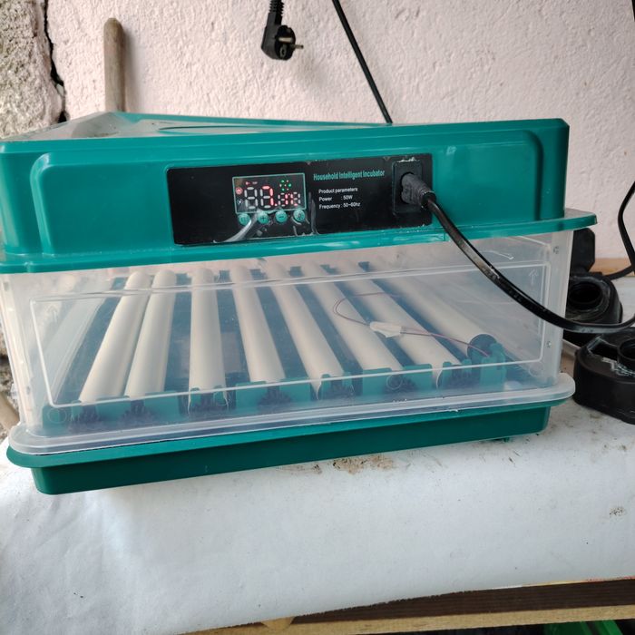 Автоматична люпилня