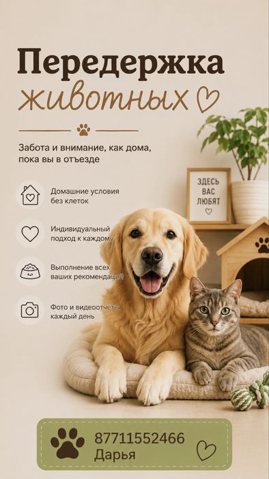 Передержка животных