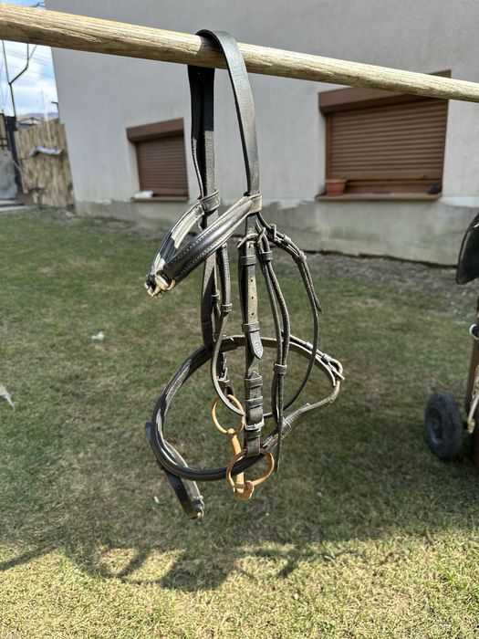Frâu / capastru echitatie trasura