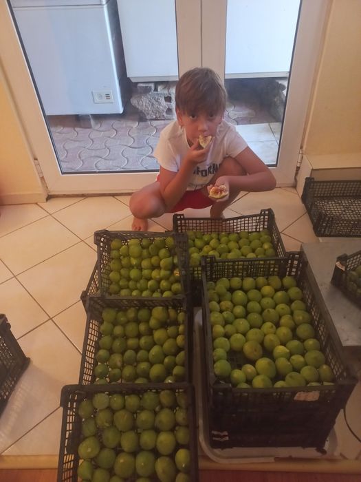 Vindem Smochine DULCI.