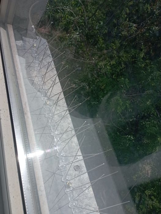 Защита от голубей, птиц, спасём кошку