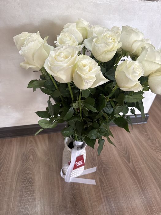 70-80см роза еш жеры солмаган