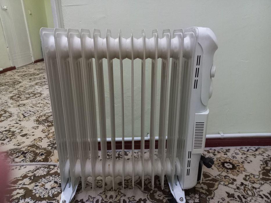 Maslini pech sotiladi arginal