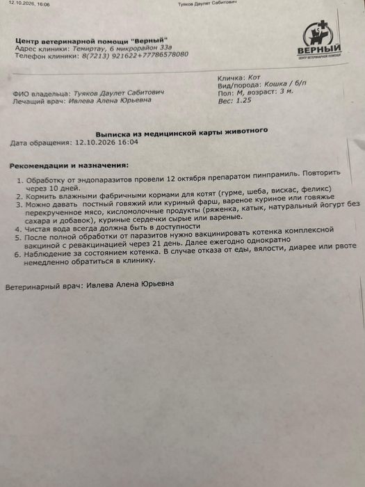 Котенок в добрые руки