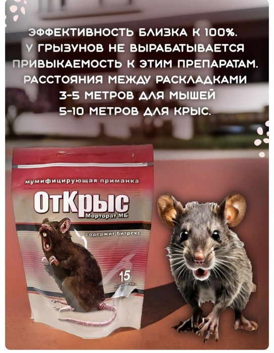 Отрава от крыс и мышей