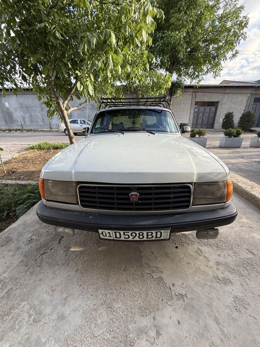 Volga Волга 31029