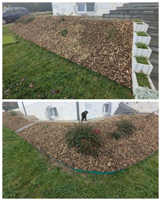 tocatura de crengi, mulci