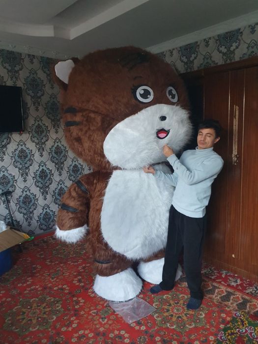 Ayiqlar optim narxda айиклар