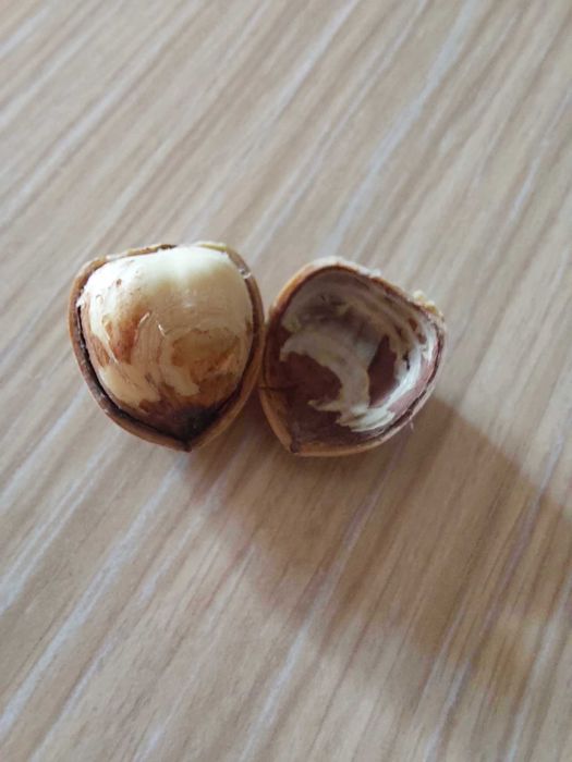 Продава се Земеделски имот в с. Драчево, Област Бургас -  кв.м за 2408 €/дка - Снимка #13